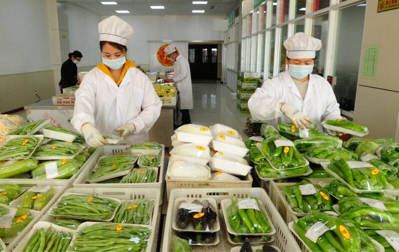 蔬菜基地-保鮮膜包裝機